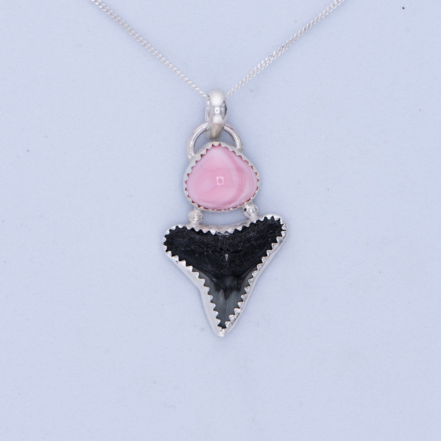 Shark Tooth & Pink Conch Shell Pendant – Sterling Silver